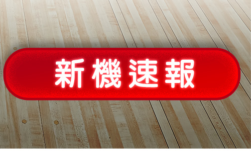 一票玩到底